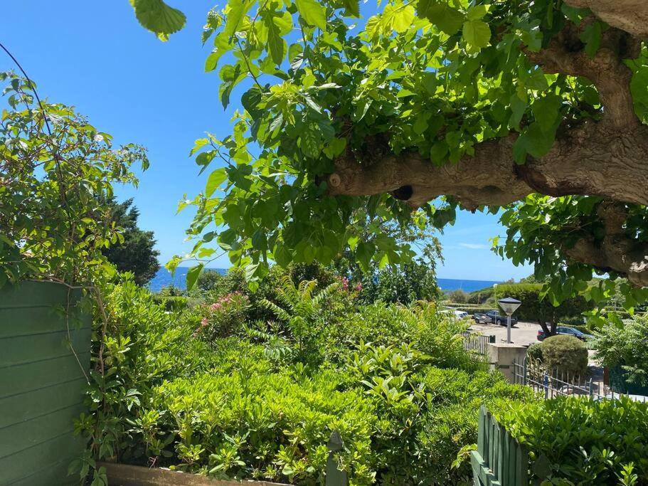 Joli Studio De Vacances Vue Mer Sausset-les-Pins Exteriér fotografie
